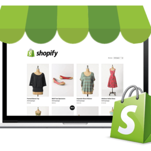 shopify e-commerce website setup cost